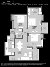 aba_cleo_county5 (1).jpg